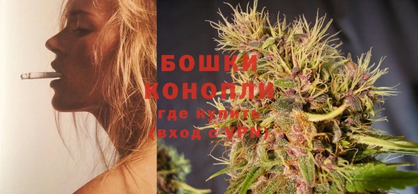 гидра Липки