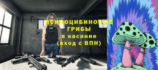 прущие грибы Мегион