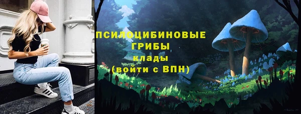 прущие грибы Мегион