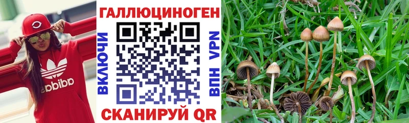 Псилоцибиновые грибы мухоморы  KRAKEN ONION  Северобайкальск 
